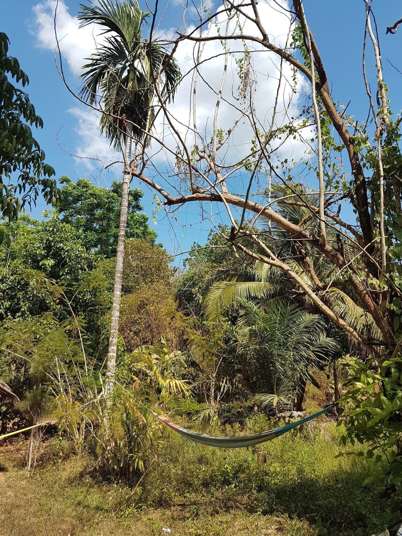 Slacklines Hostel Ko Lanta エクステリア 写真